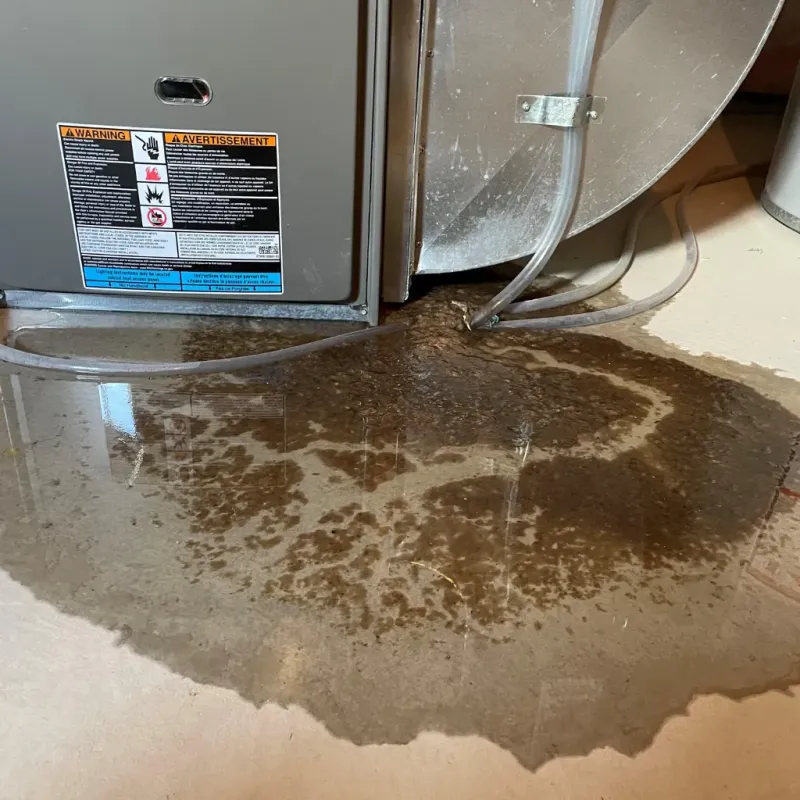 Appliance Leak Cleanup in Coffee County, GA